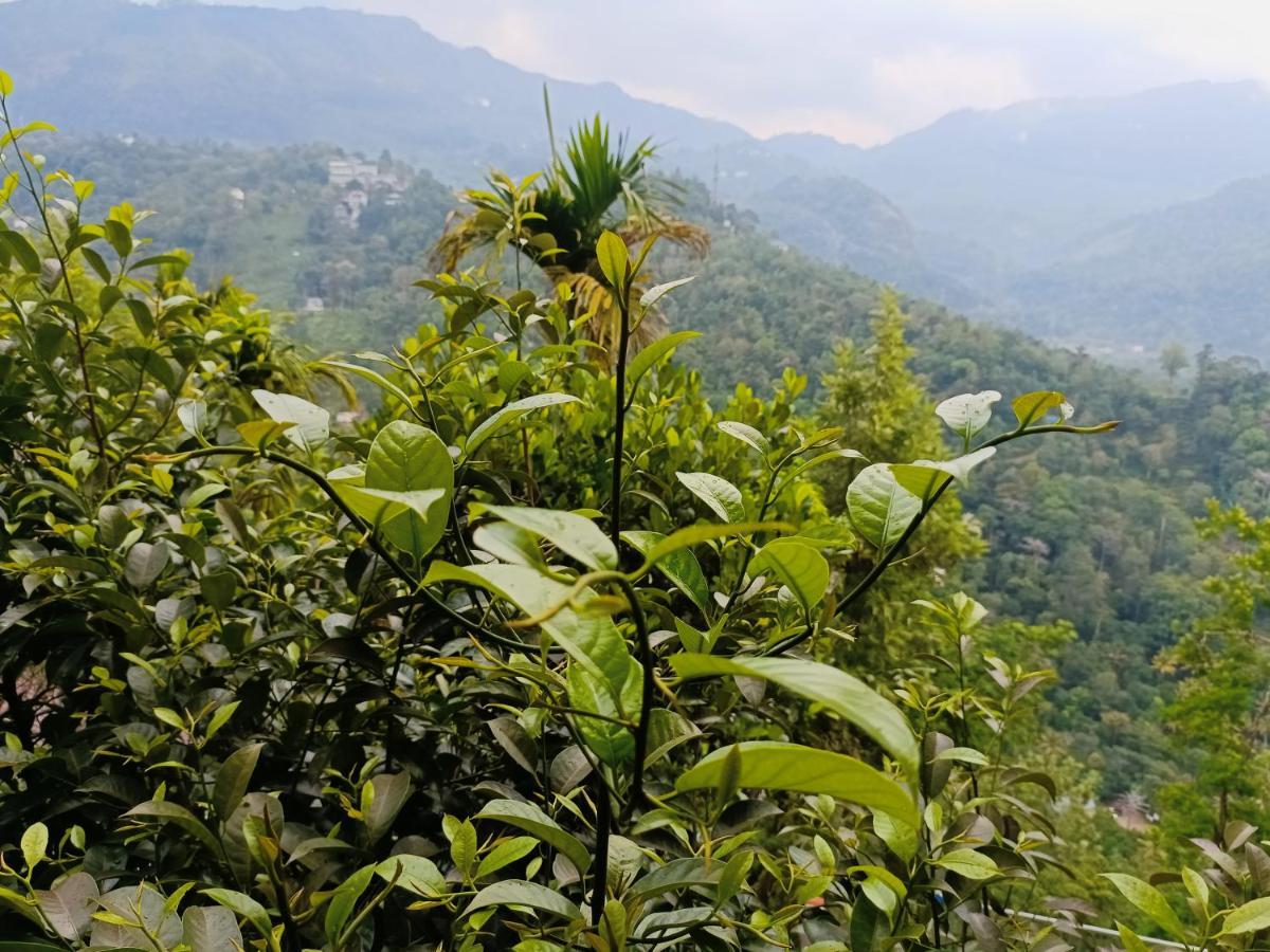 Bed and Breakfast Grace Munnar Residency Exterior foto